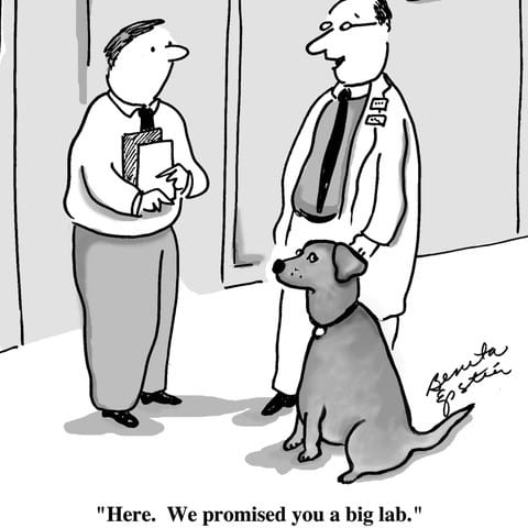 Cartoon of two men in a lab setting with a dog, captioned about promising a big lab