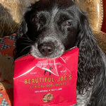 Black dog holding red packet of Beautiful Joe's ethical dog treats with tasty lamb flavor